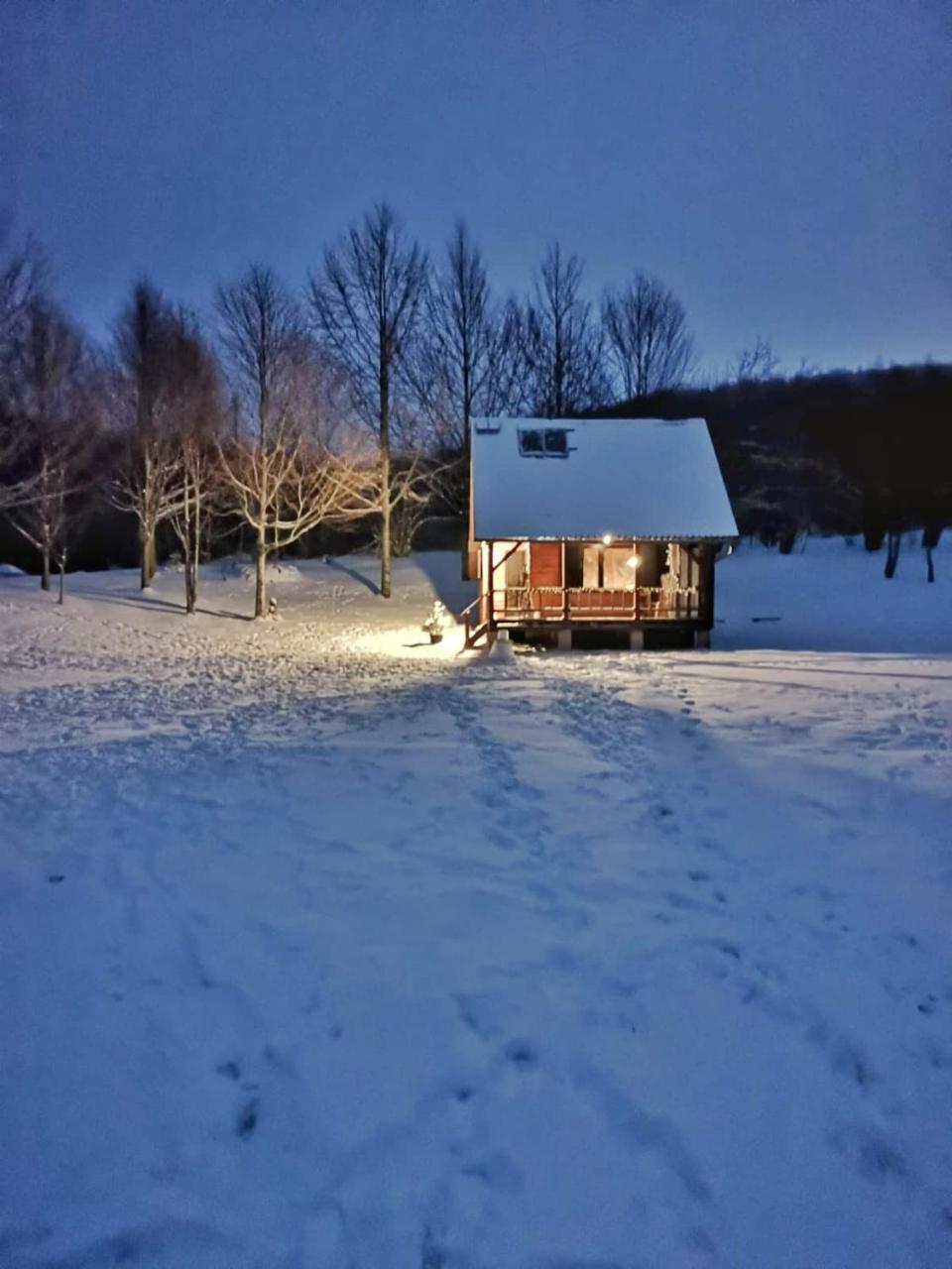 Koliba Sume Pjevaju Robinzonski Smjestaj Struja 12 V Voda Iz Cisterne in Mrkopalj, Croatia