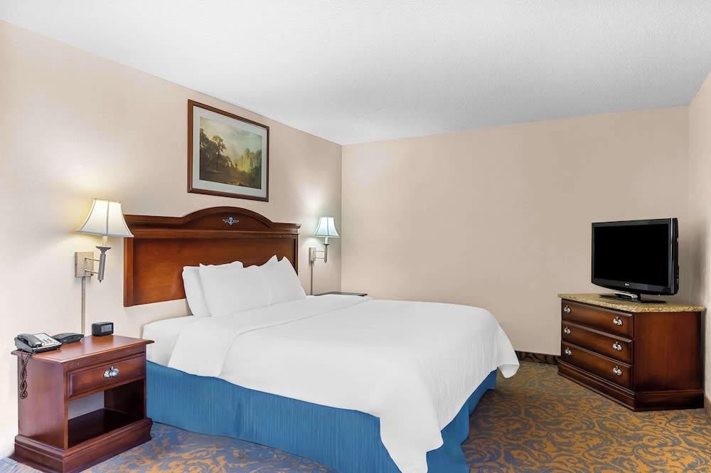 Hotel Cheyenne - photo 4