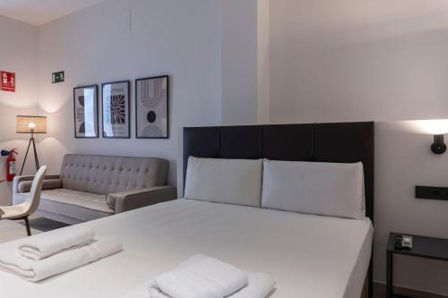 Vlc Host Zapadores — Valencia
