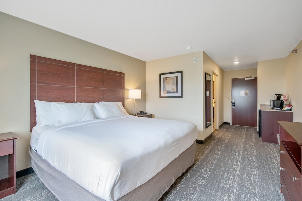 Cobblestone Hotel & Suites Austin - photo 12