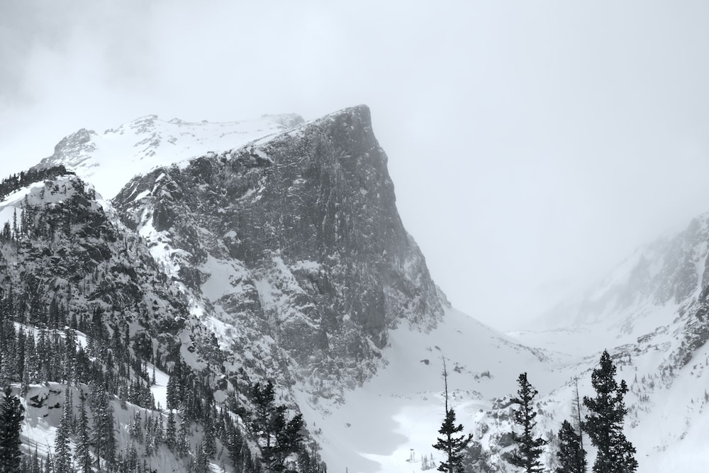 Holiday Inn Estes Park by IHG - photo 54
