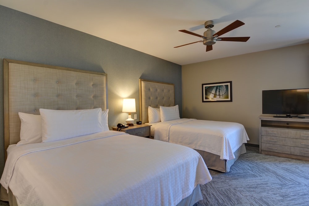 Homewood Suites by Hilton Hadley Amherst - photo 8