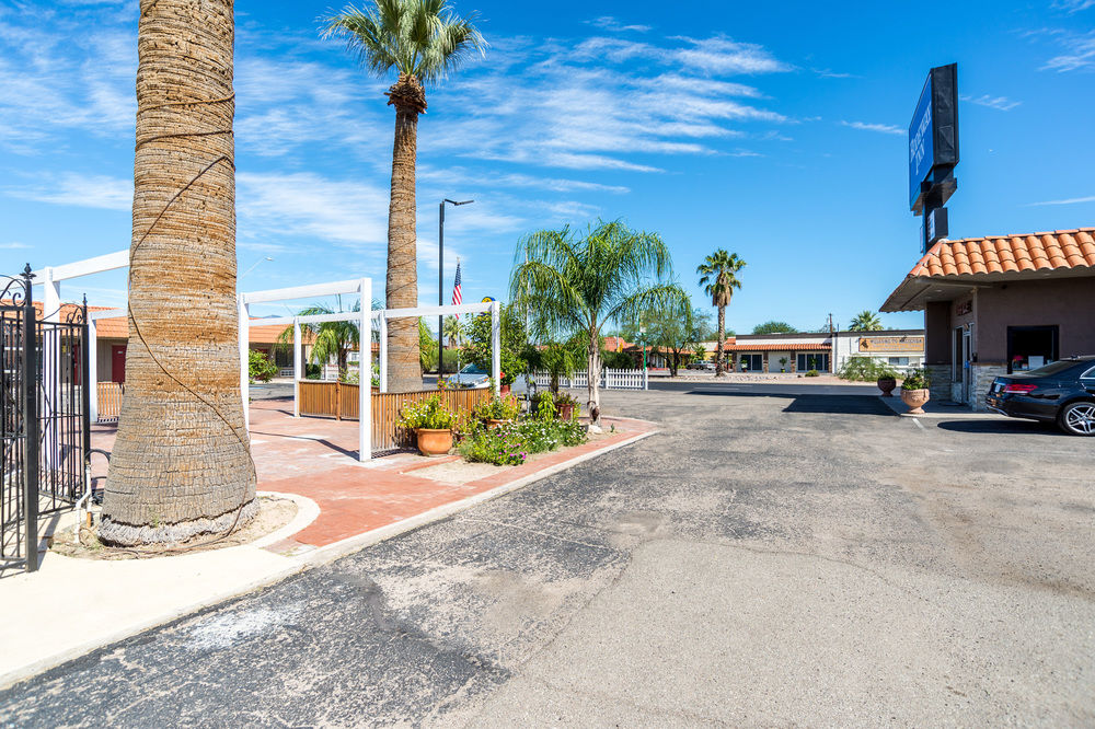 Wildcat Inn - photo 43