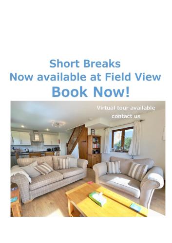 Field View in Padstow, United Kingdom