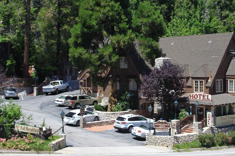 Saddleback Inn at Lake Arrowhead - photo 11