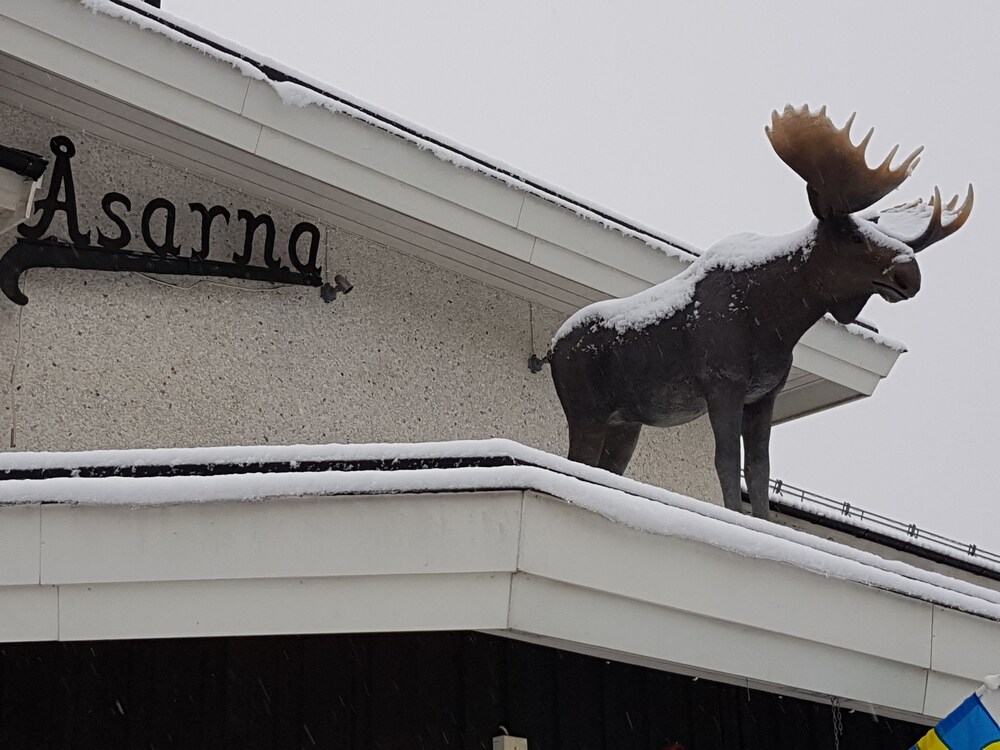 Big Moose Hotel - last minute hotel in Berg