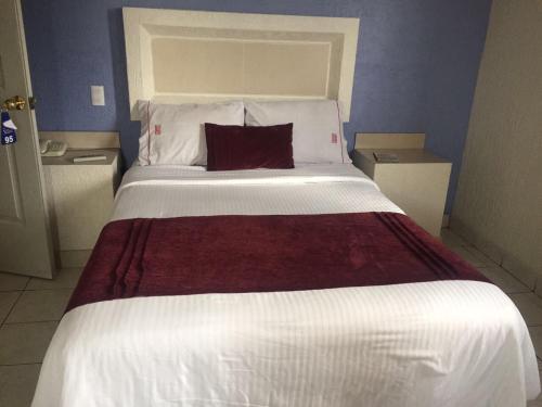 Hotel La Paz pet-friendly hotel Guadalajara
