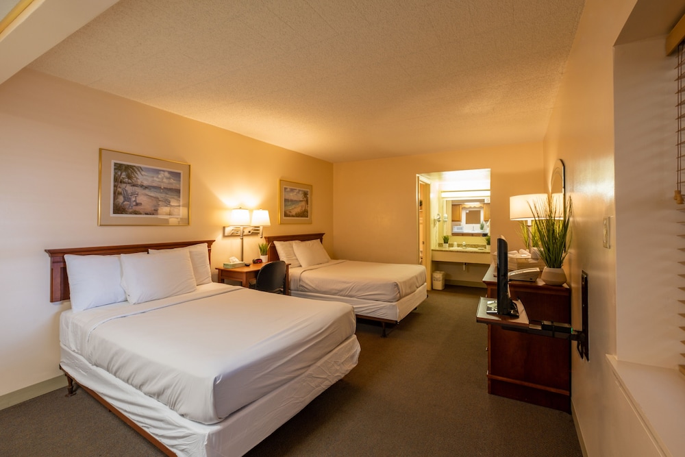 Tahiti Inn - photo 7