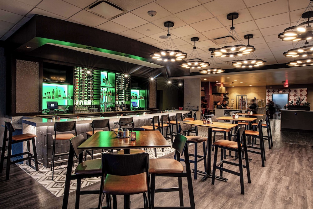 Embassy Suites by Hilton Chicago O'Hare Rosemont - photo 35