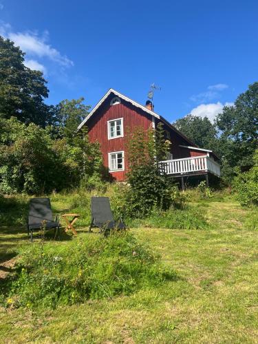 Månsarps skogs och alpackagård in Vimmerby, Sweden