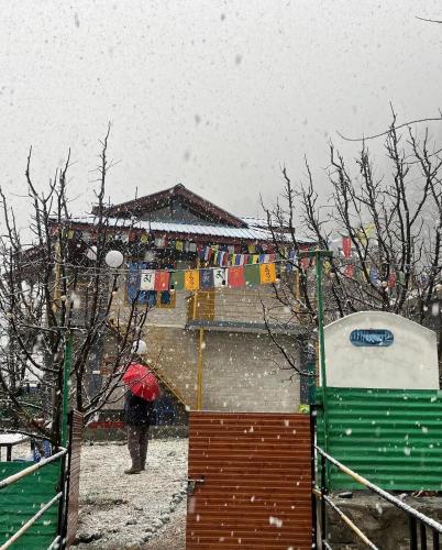 Little Heaven - last minute hotel in Manali