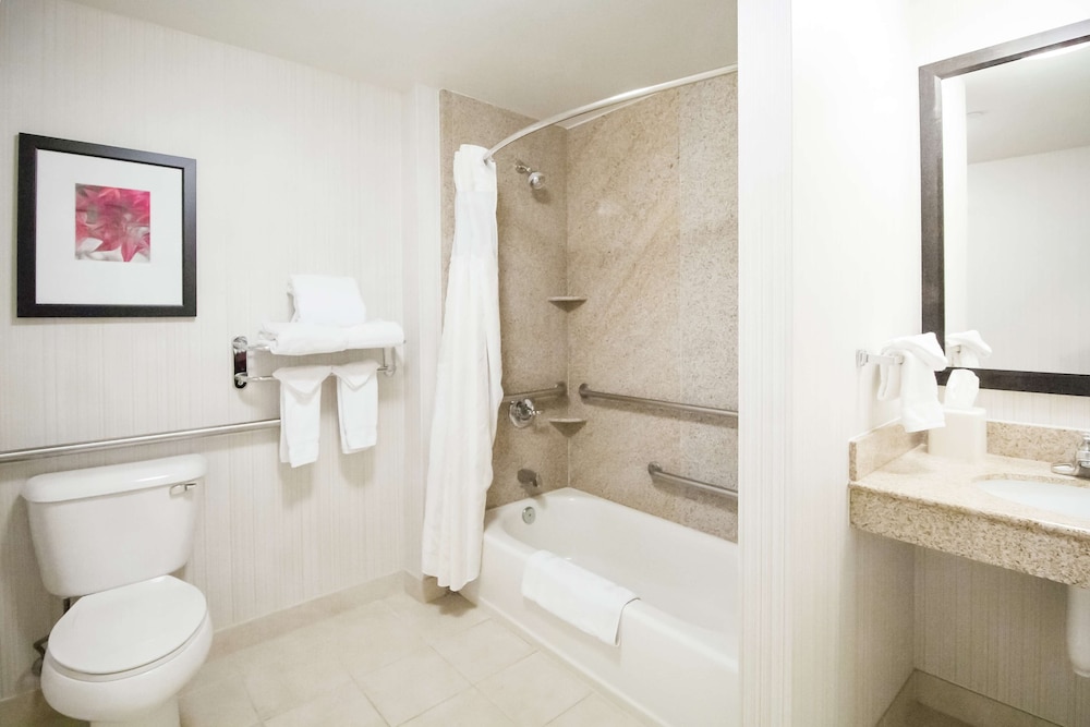 Hilton Garden Inn Midland - photo 13