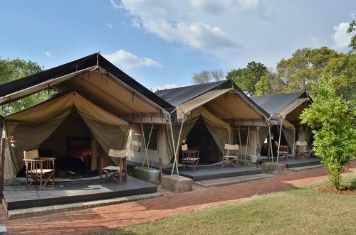 Ostrich Manor in Brits, South Africa