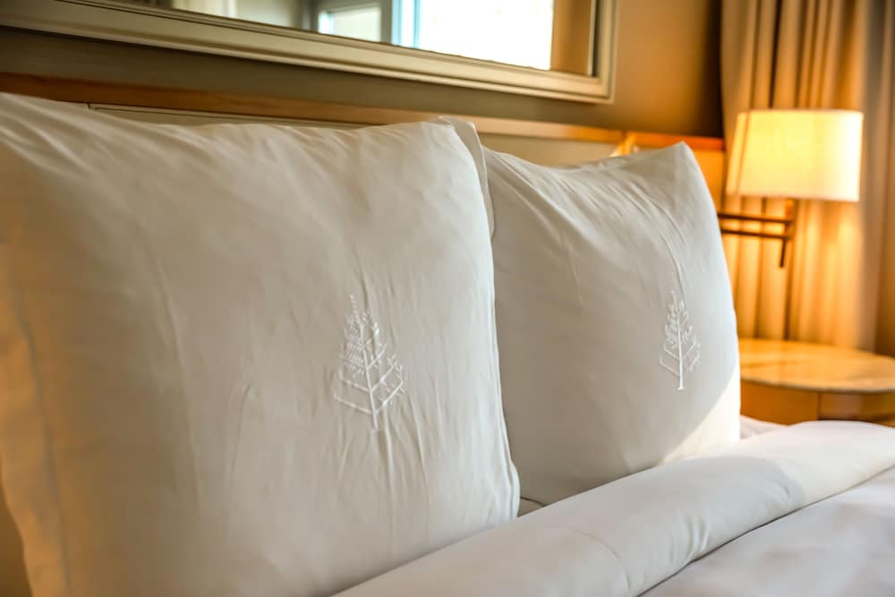 Four Seasons Hotel Chicago - photo 18