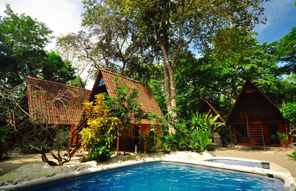 Howler Monkey Hotel - carbon neutral hotel in Unknown City