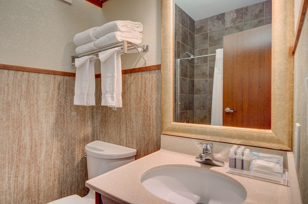 Holiday Inn West Yellowstone by IHG. - photo 97