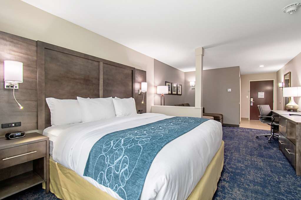 Comfort Suites Humble Houston IAH - photo 7