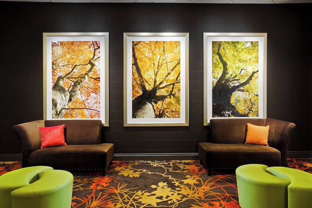 Sheraton Springfield Monarch Place Hotel - photo 3