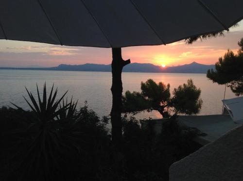 Rosys Little Village — Skala — photo 4