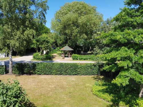 Exkl Fh Fleiderbusch Kamin W Lan — Boergerende Rethwisch