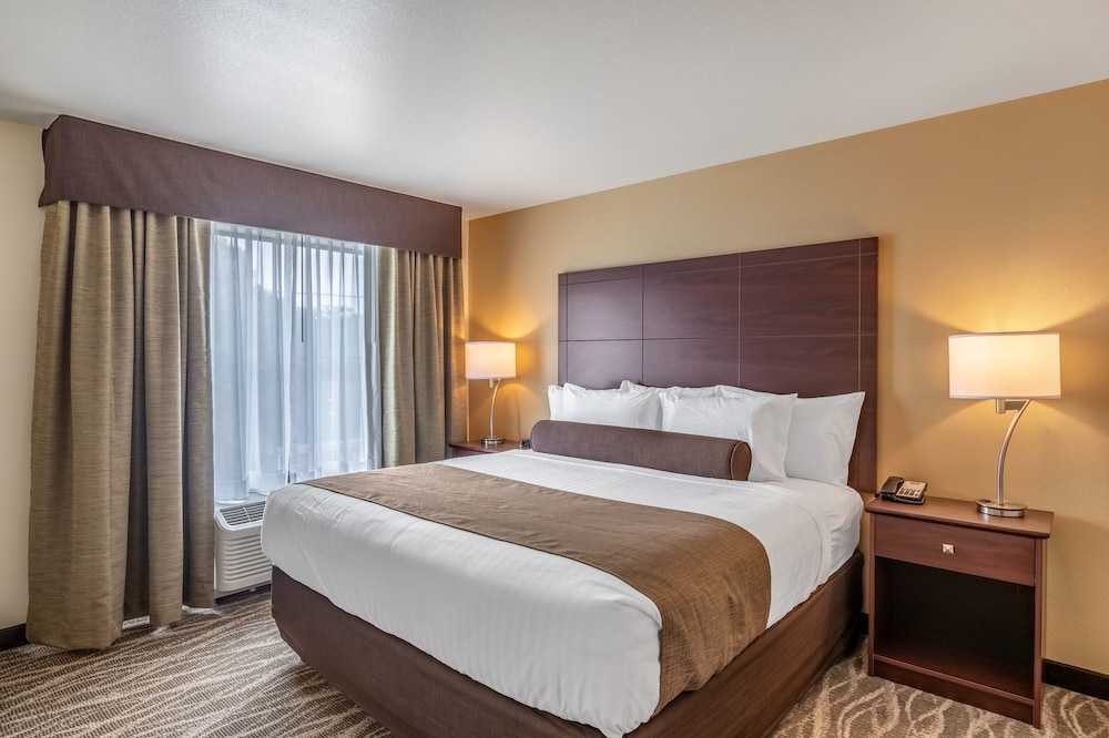 Cobblestone Inn & Suites Fairfield Bay - photo 8