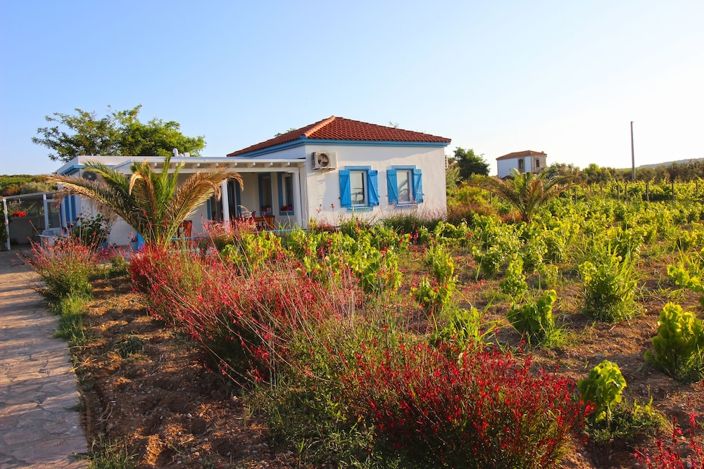 Ilgın Bag Evi in Bozcaada, Turkey