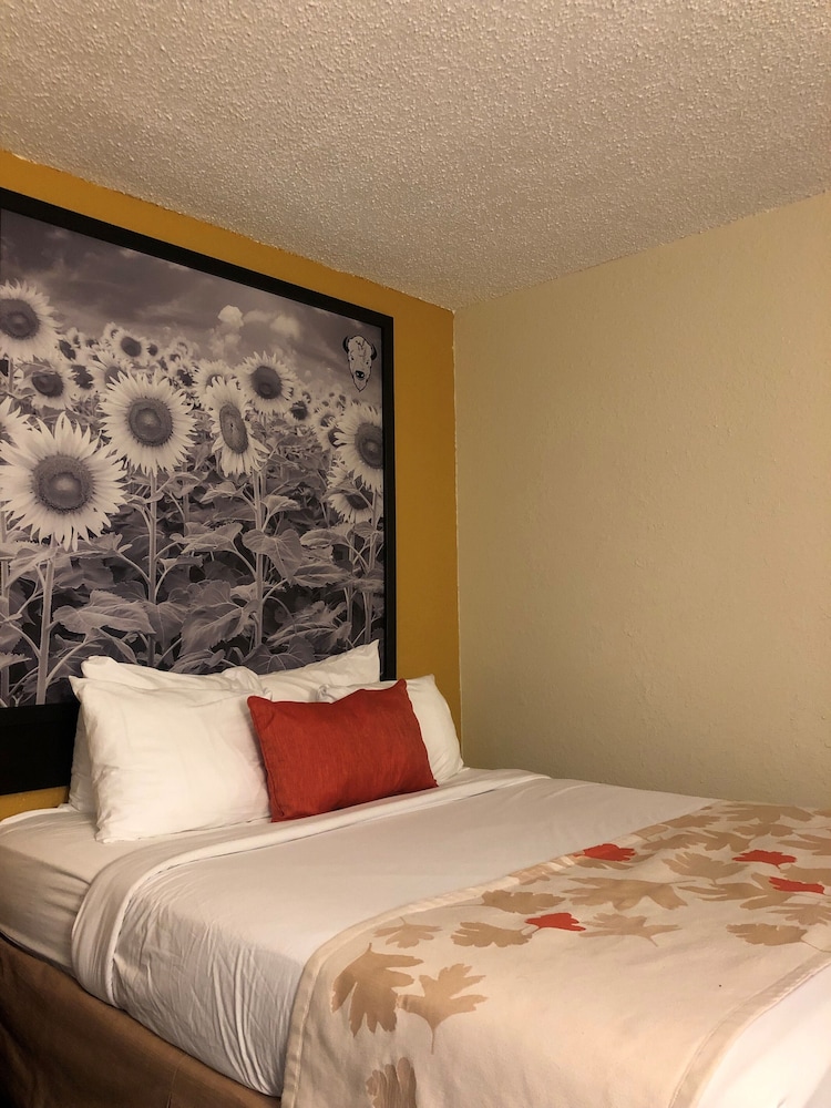 Bison Plains Lodge - photo 5