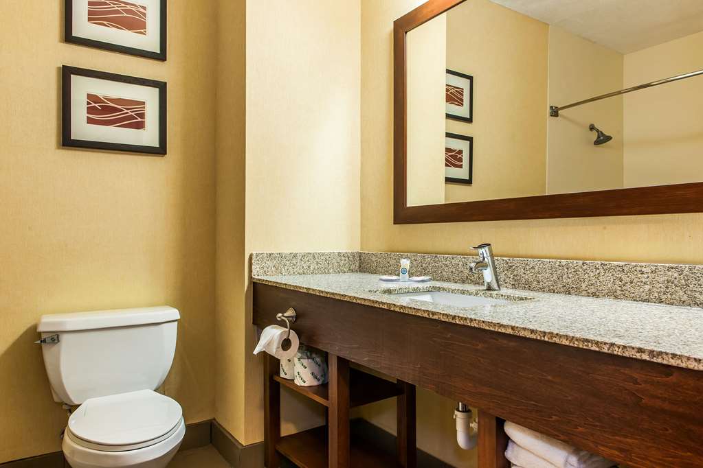 Comfort Inn Pickerington Columbus East - photo 12
