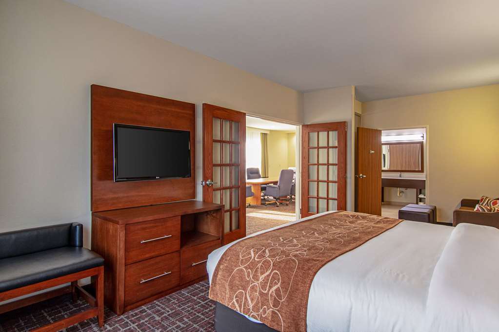 Comfort Suites NW Dallas Near Love Field - photo 33