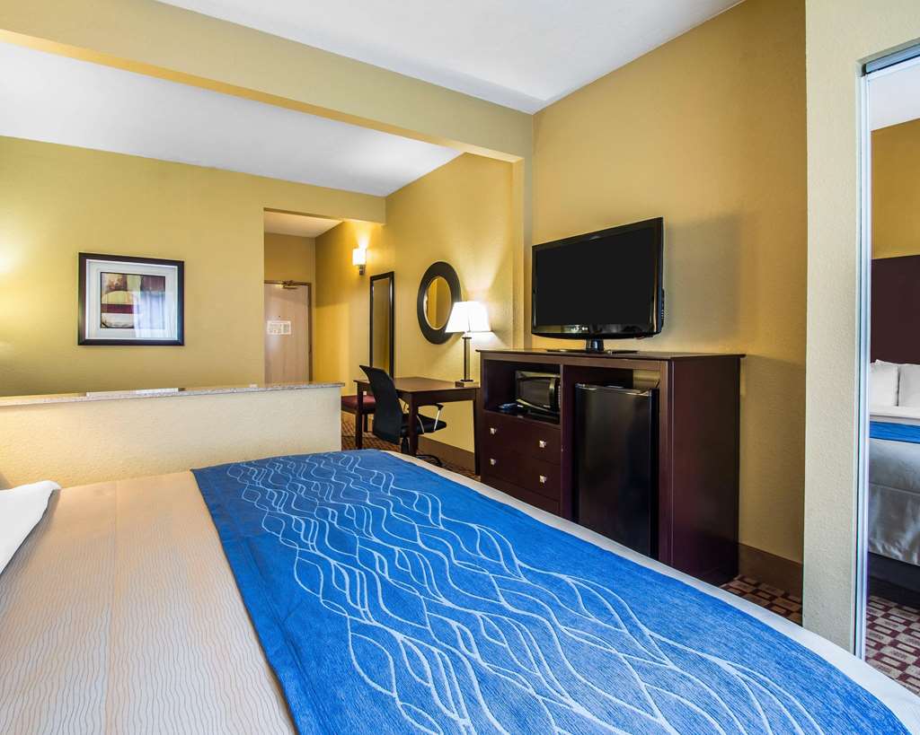 Quality Inn Plant City Lakeland - photo 12