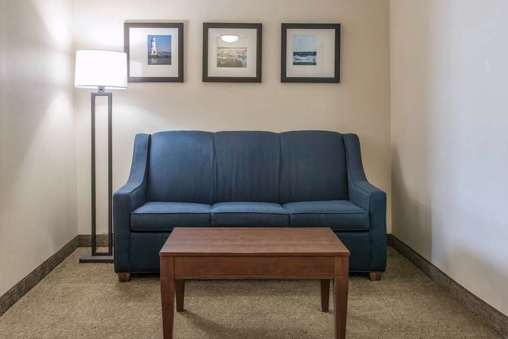 Comfort Suites Wixom Novi - photo 17