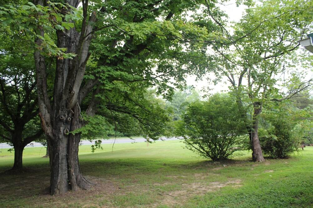 Shawnee Trails Lodging and Suites - photo 41