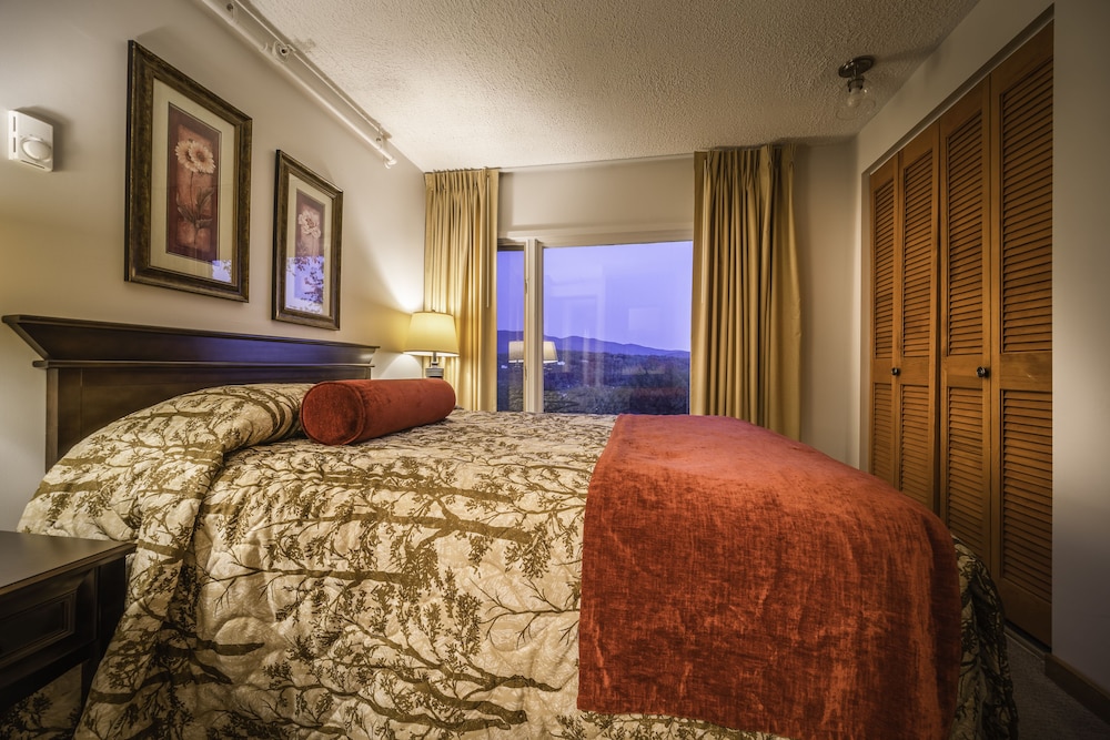 Sun & Ski Inn And Suites - photo 42