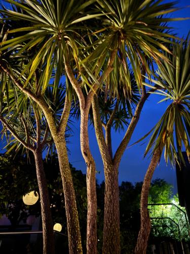 Luxury Lake Front Escape With Hot Tub