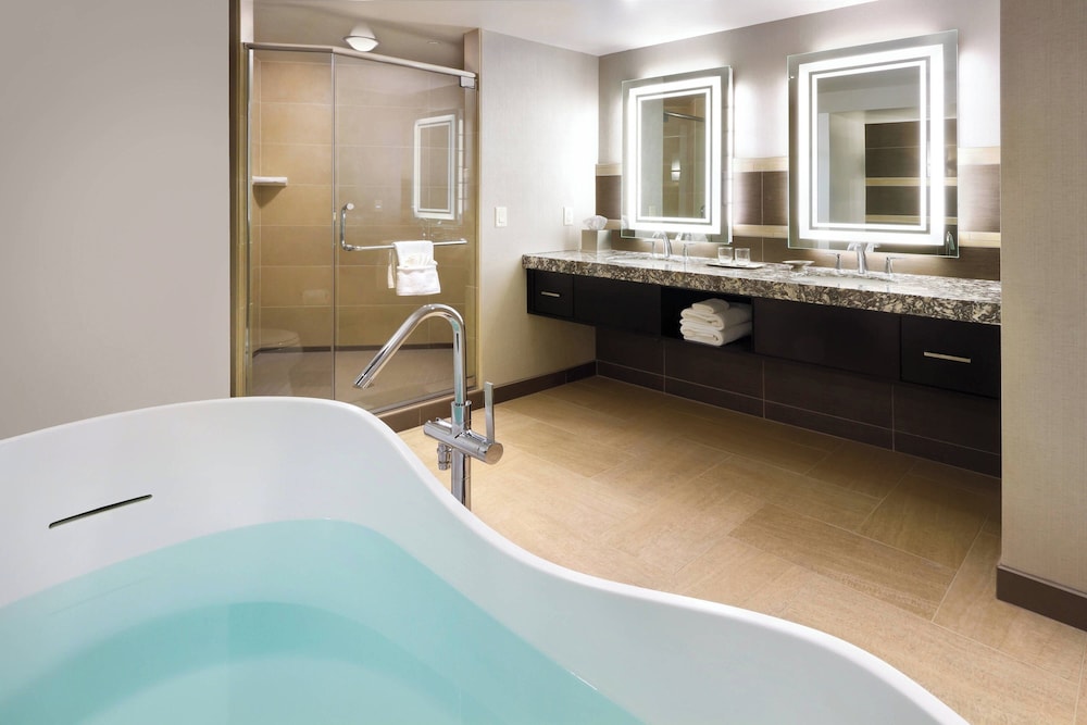 South Sioux City Marriott Riverfront - photo 33