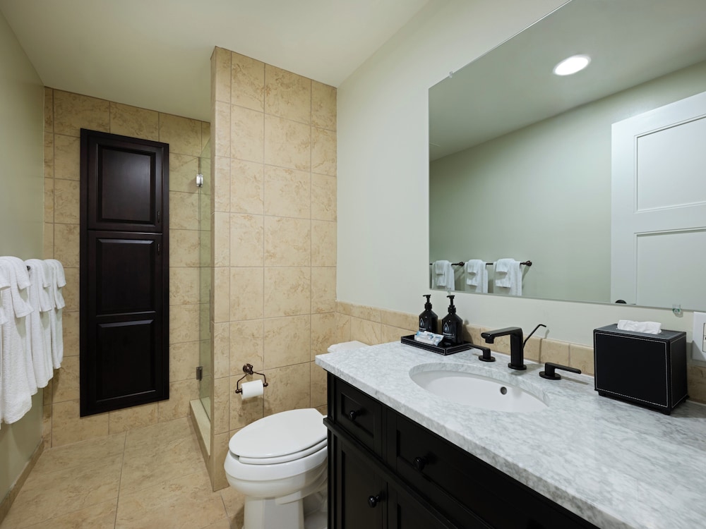 Hotel Indigo Asheville Downtown by IHG - photo 60