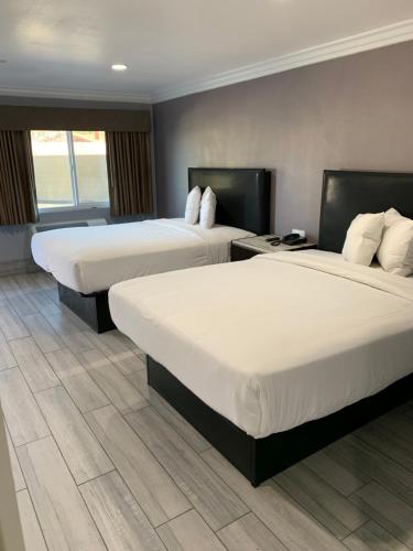 Willow Tree Inn & Suites - photo 8