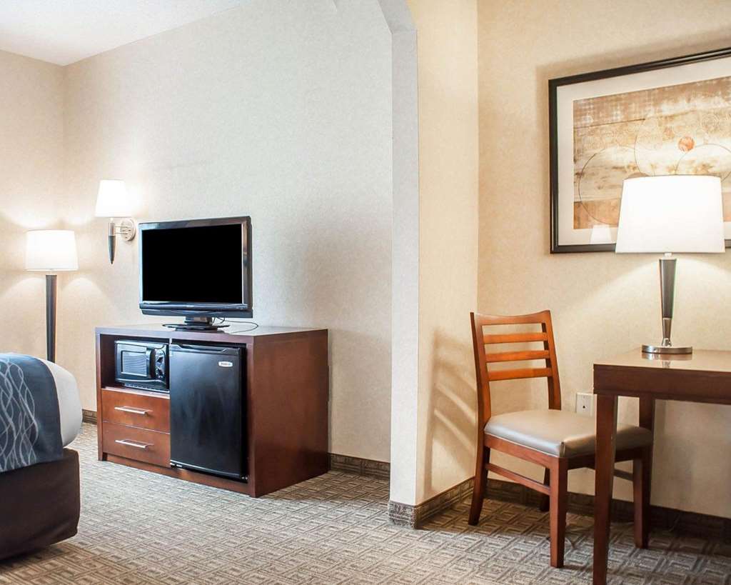 Comfort Inn & Suites Hamburg Buffalo South - photo 12