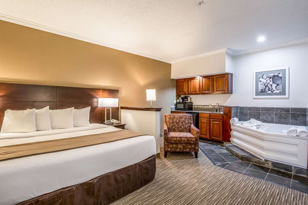 Quality Inn & Suites Seabrook NASA Kemah - photo 21