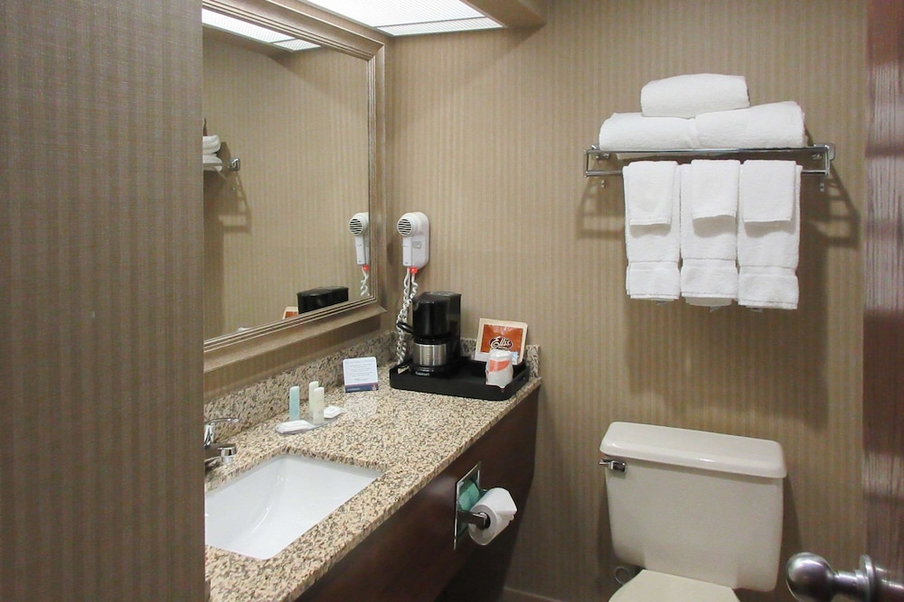 Clarion Inn & Suites Cortland University Area - photo 17