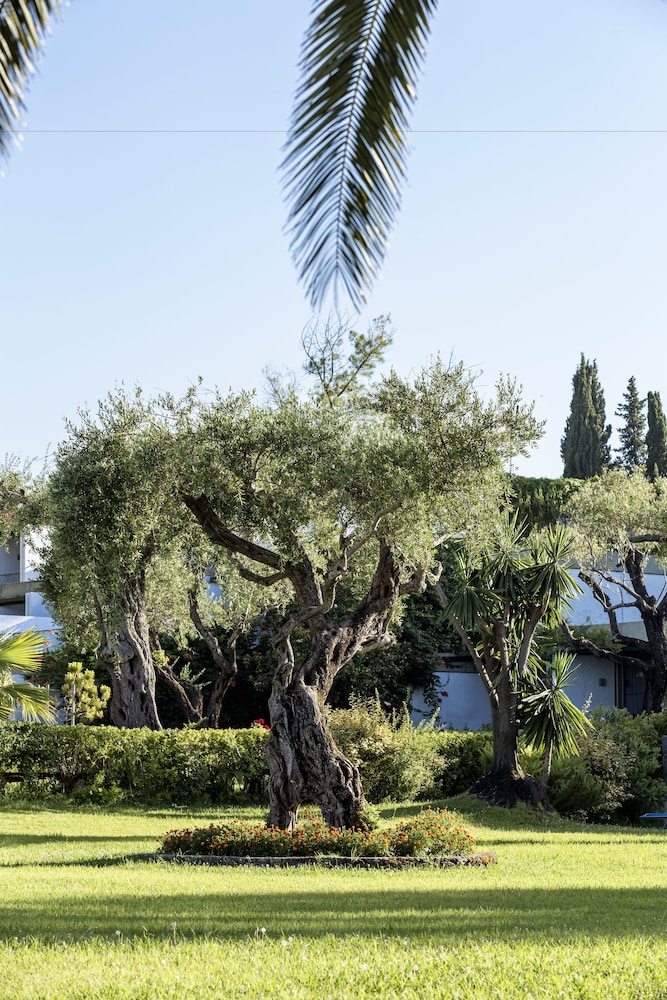 שטחי חוץ / גן