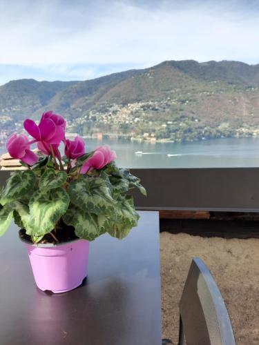 Luxury Room La Terrazza sul Lago di Como — hotel in Blevio