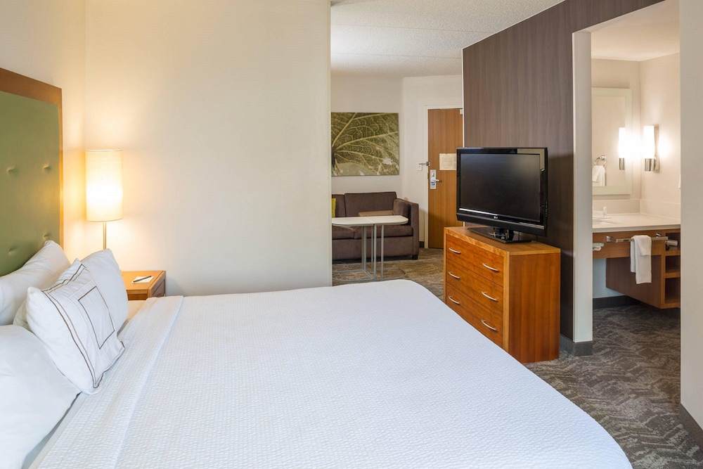 Springhill Suites by Marriott Hampton Coliseum - photo 7