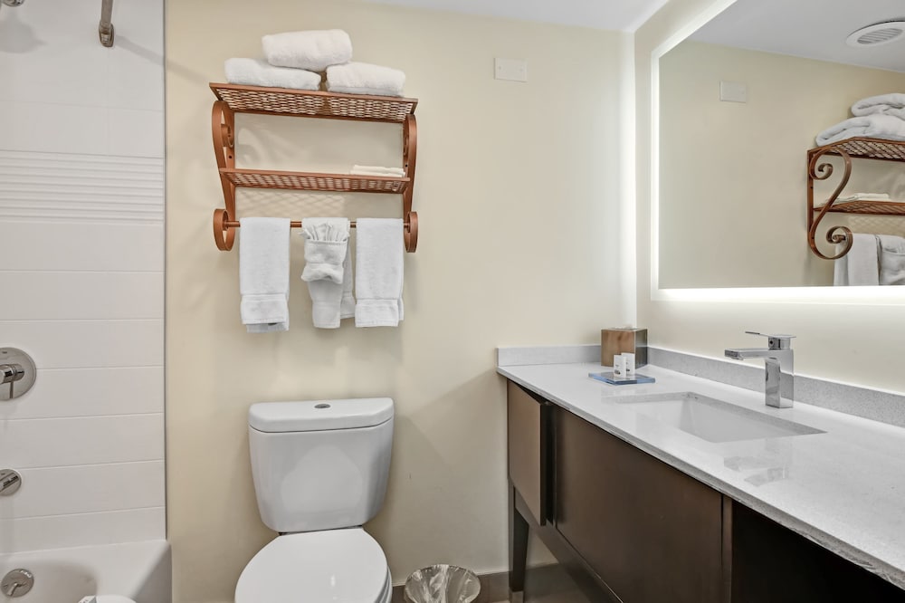 Holiday Inn Piscataway Somerset by IHG - photo 13