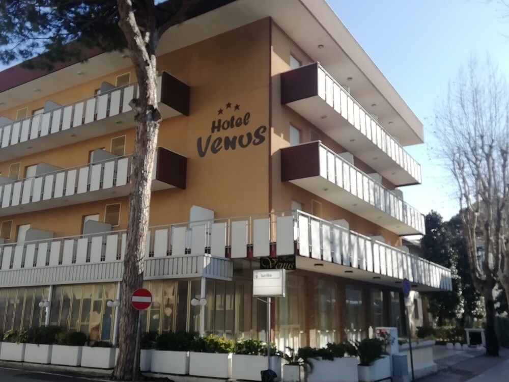 Hotel Venus - last minute hotel in Rimini