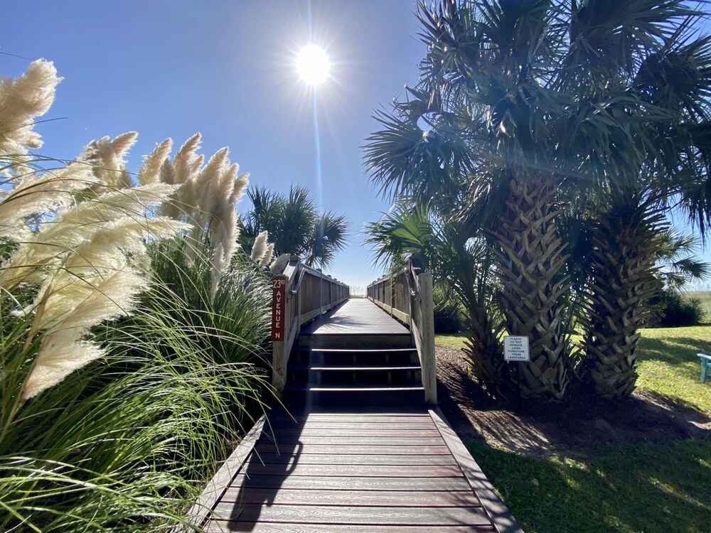 Meridian Plaza by Palmetto Vacations - photo 13