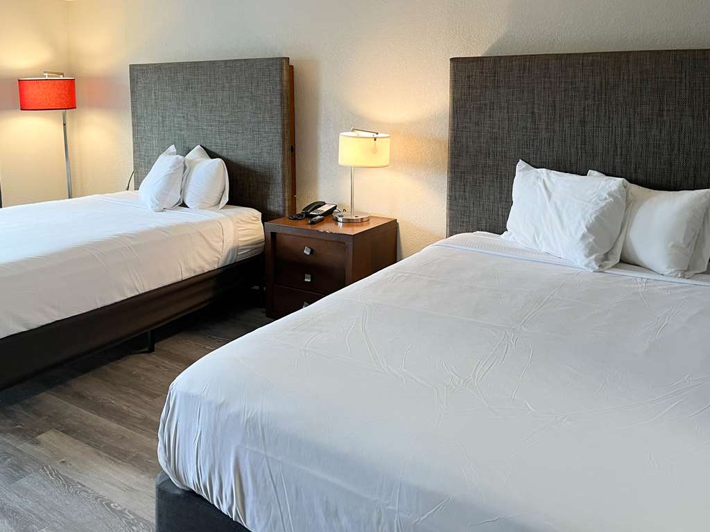 Motel 6 New Port Richey FL - photo 9