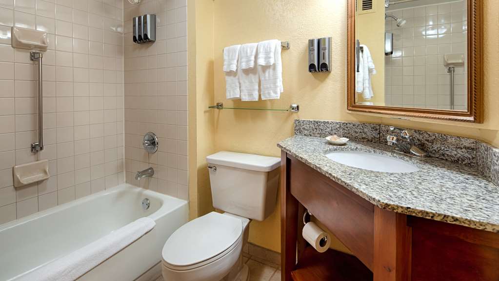 Best Western Plus Richmond Airport Hotel - photo 28