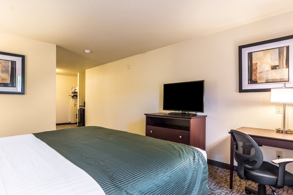 Cobblestone Hotel & Suites Greenville - photo 12