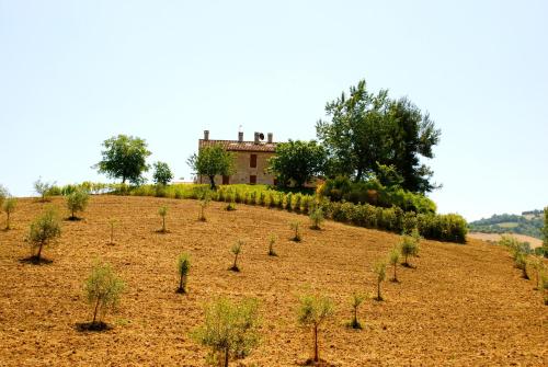Il Casale di Giovanna — Offida — photo 4